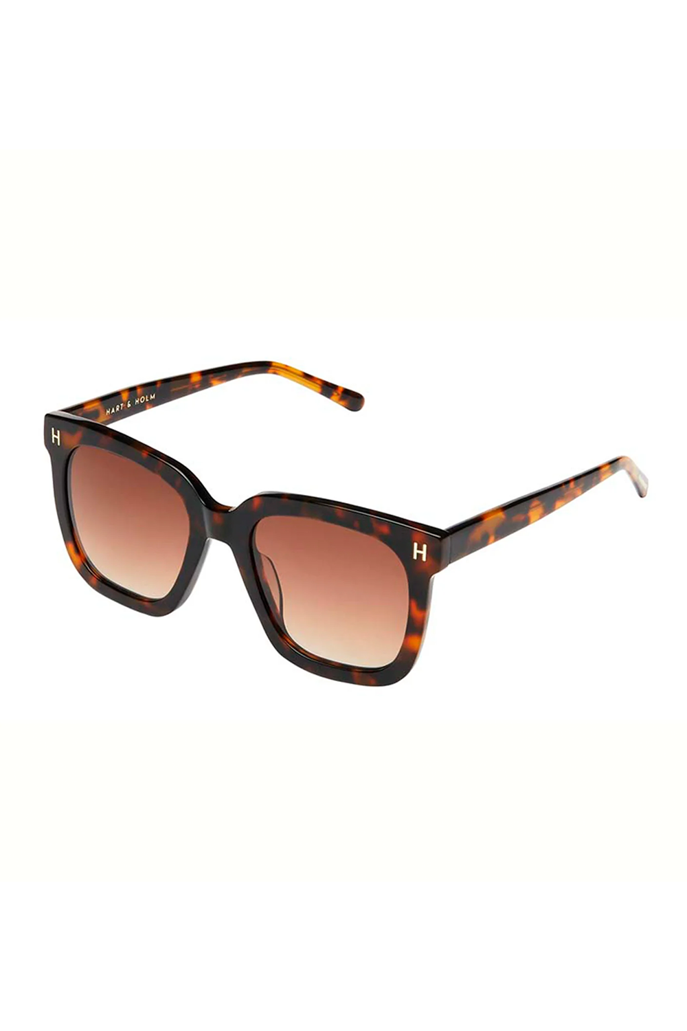 Avellino Brown Turtle Premium Solbrille